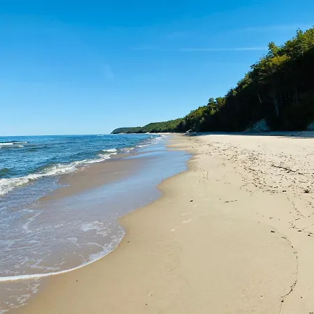 Lesny * Виселка