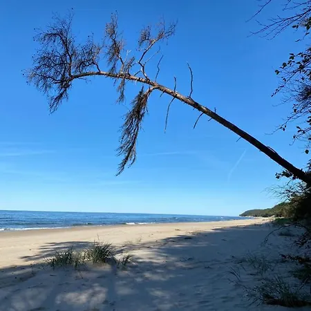 Lesny Виселка