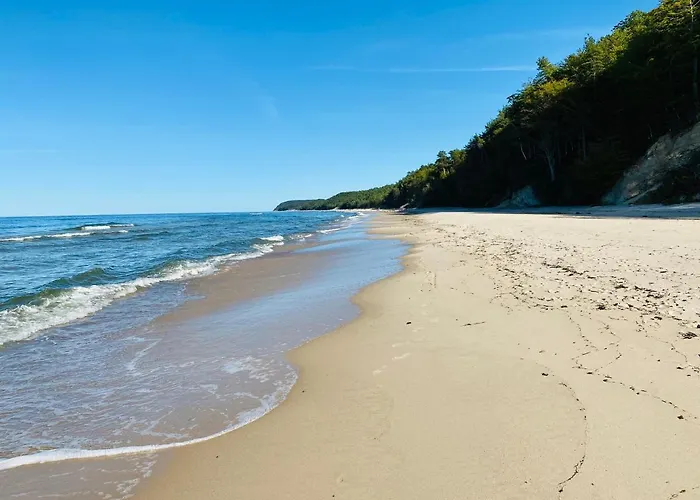 Lesny * Виселка