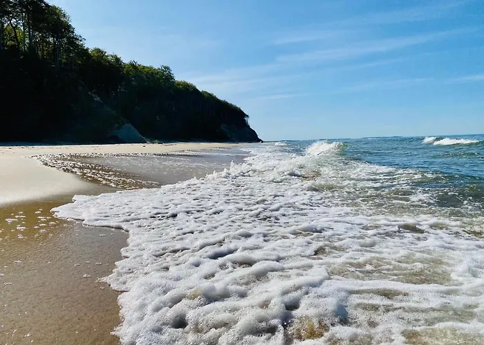 Lesny Апартаменты *